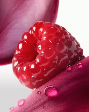 Illustration parfum fruite Lancome