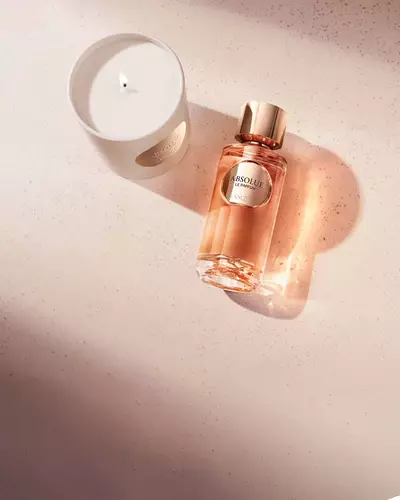 Absolue les Parfums