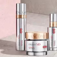 absolue beauty visual for new illustration