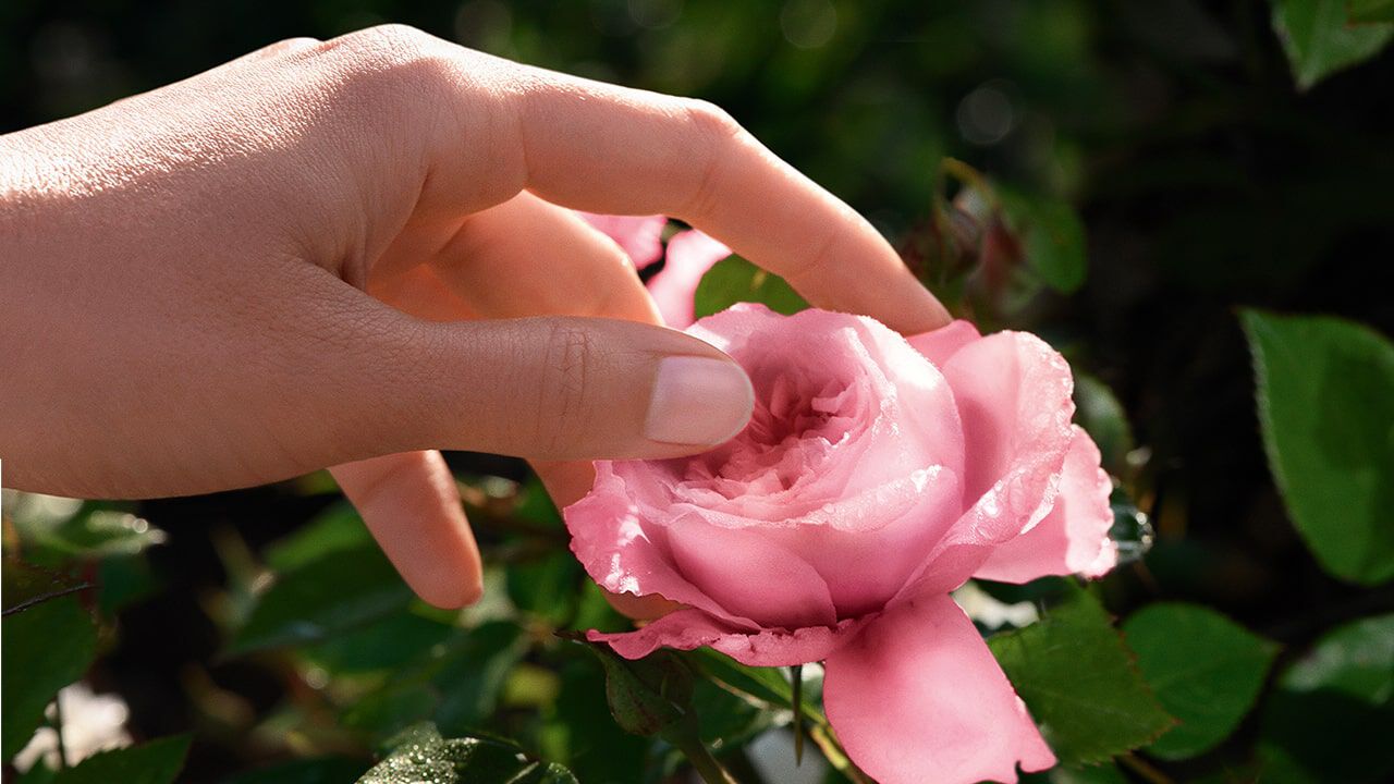 bring-the-world-to-bloom