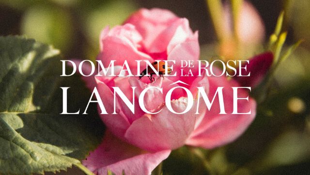 Domaine de La Rose