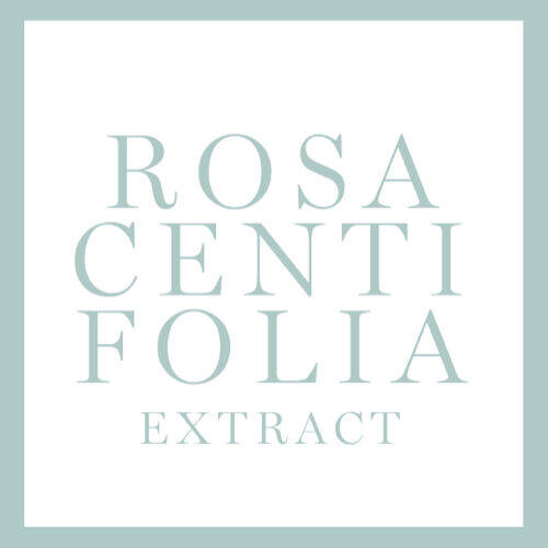 ROSA CENTIFOLIA EXTRACT