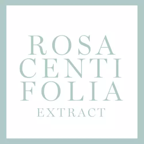 ROSA CENTIFOLIA EXTRACT