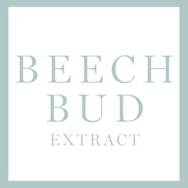 Beech Bud Extract