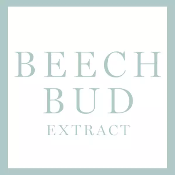 Beech Bud Extract
