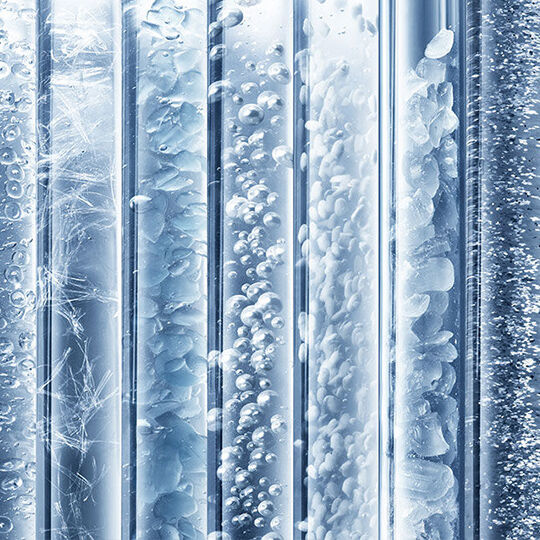 importance of Microbiome