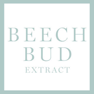 BEECH BUD EXTRACT INGREDIENT