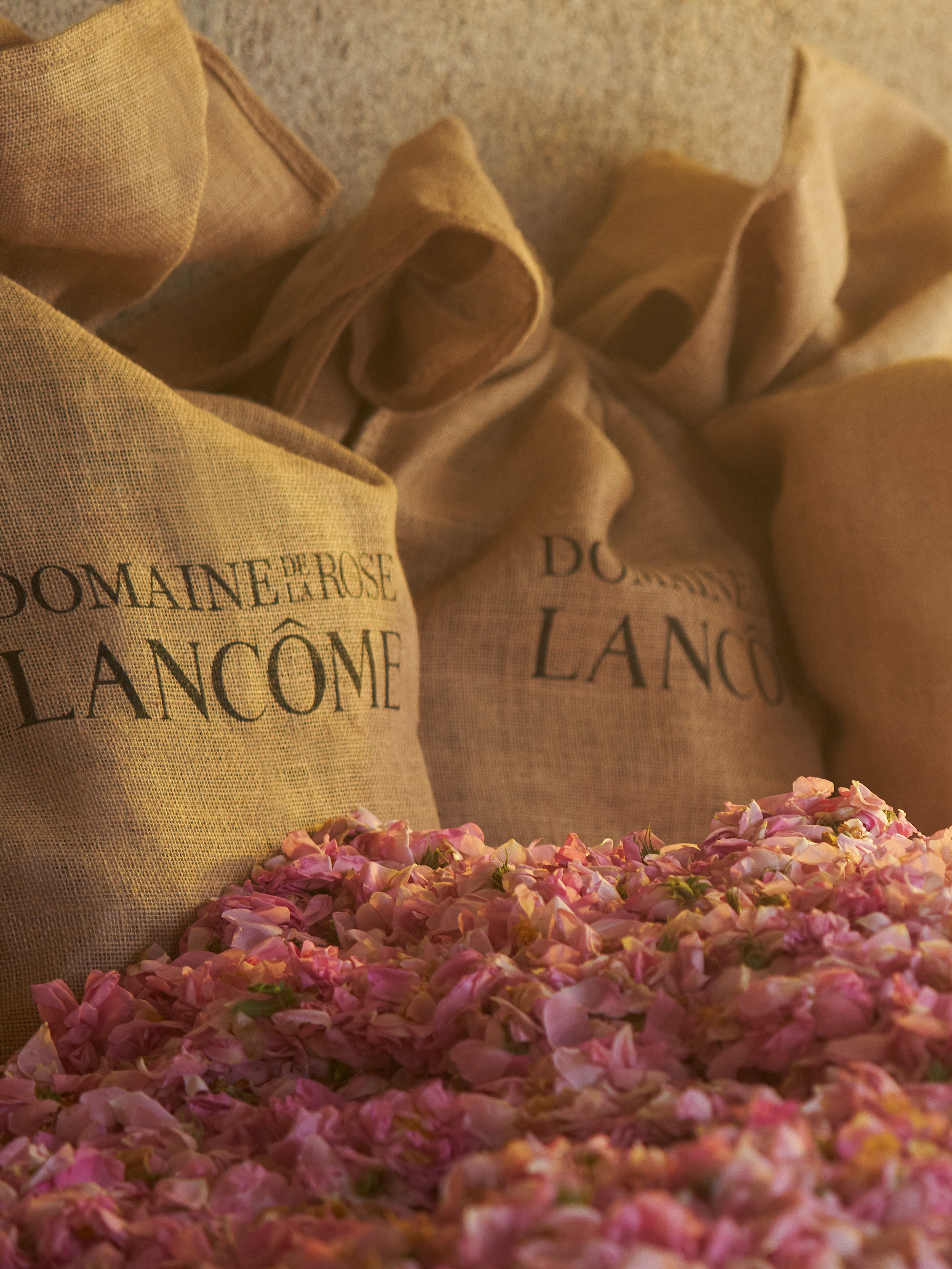 Domaine de Lancome - impact environemental