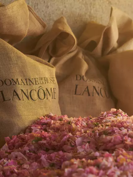 Domaine de Lancome - impact environemental