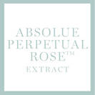 Absolue Perpetual Rose Extract ingredient