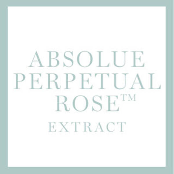 Absolue Perpetual Rose Extract