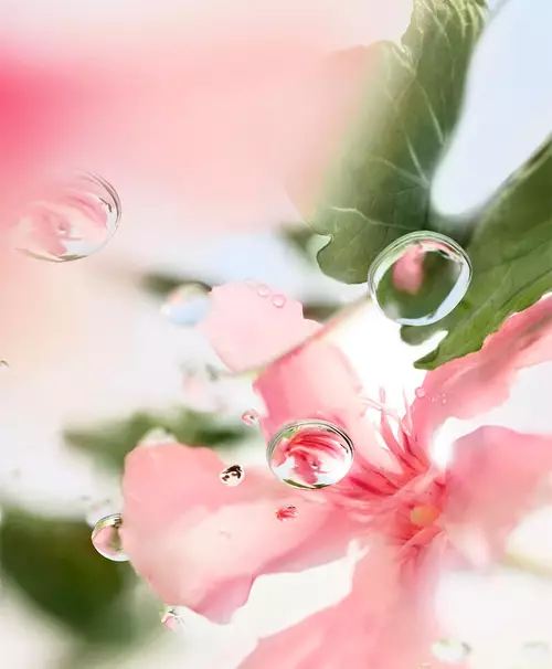 Illustration for Lancome FAQ