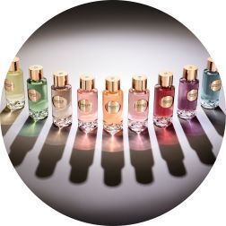 visit the Idole Collection