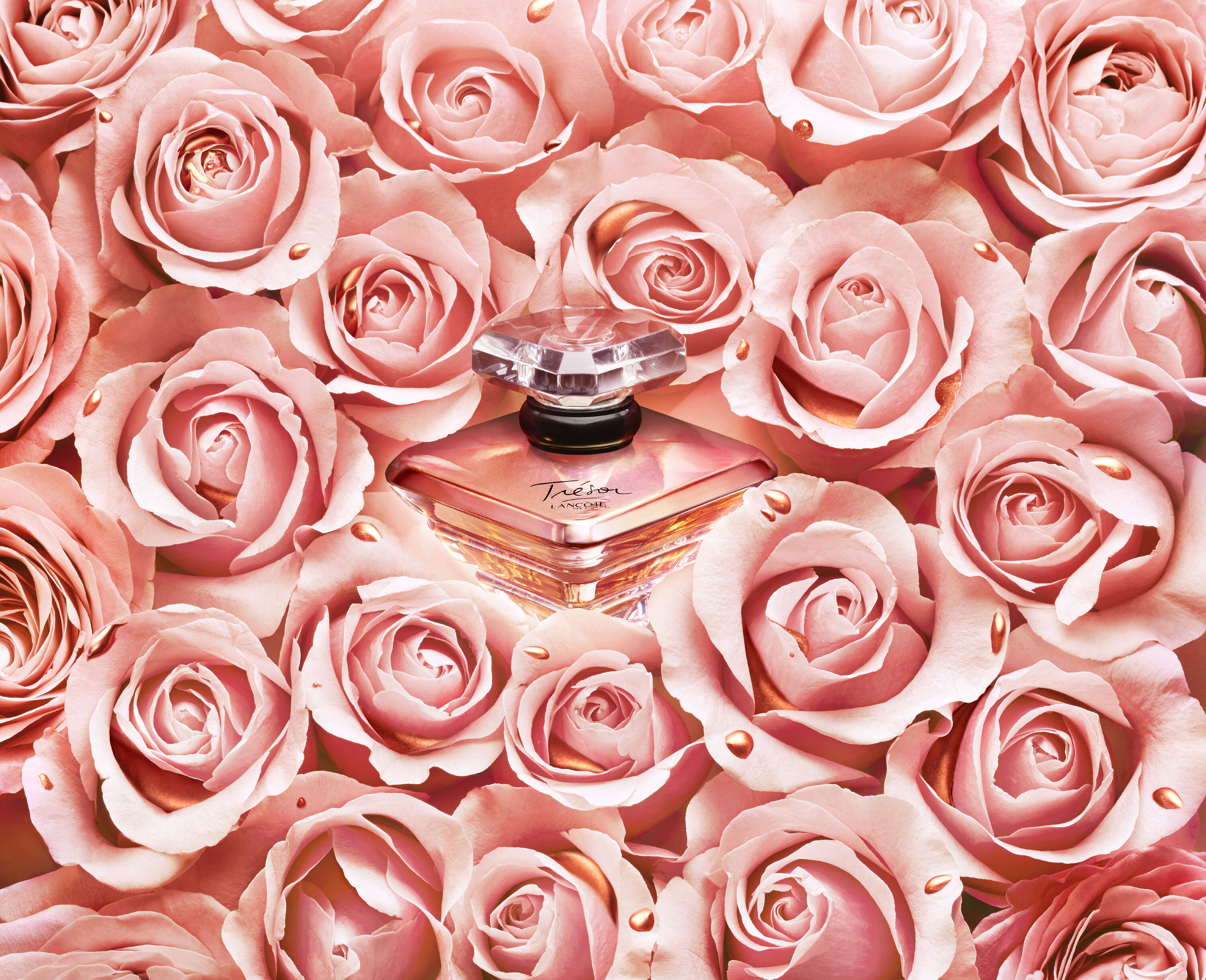 beauty mag fragrance