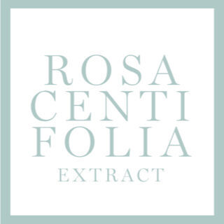 ROSA CENTIFOLIA EXTRACT INGREDIENT