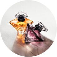 visit the Treso Collection