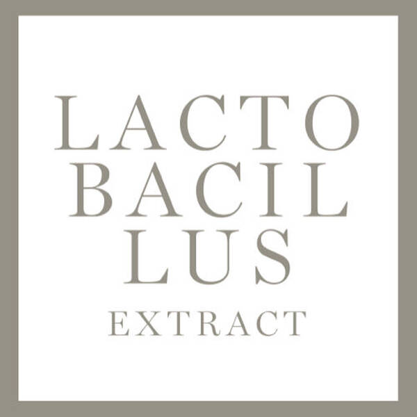 LACTOBACILLUS EXTRACT