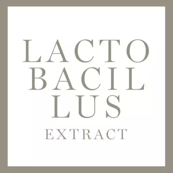 LACTOBACILLUS EXTRACT