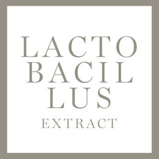 LACTOBACILLUS EXTRACT INGREDIENT
