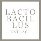 LACTOBACILLUS EXTRACT INGREDIENT