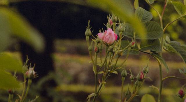 Improving the way we grow