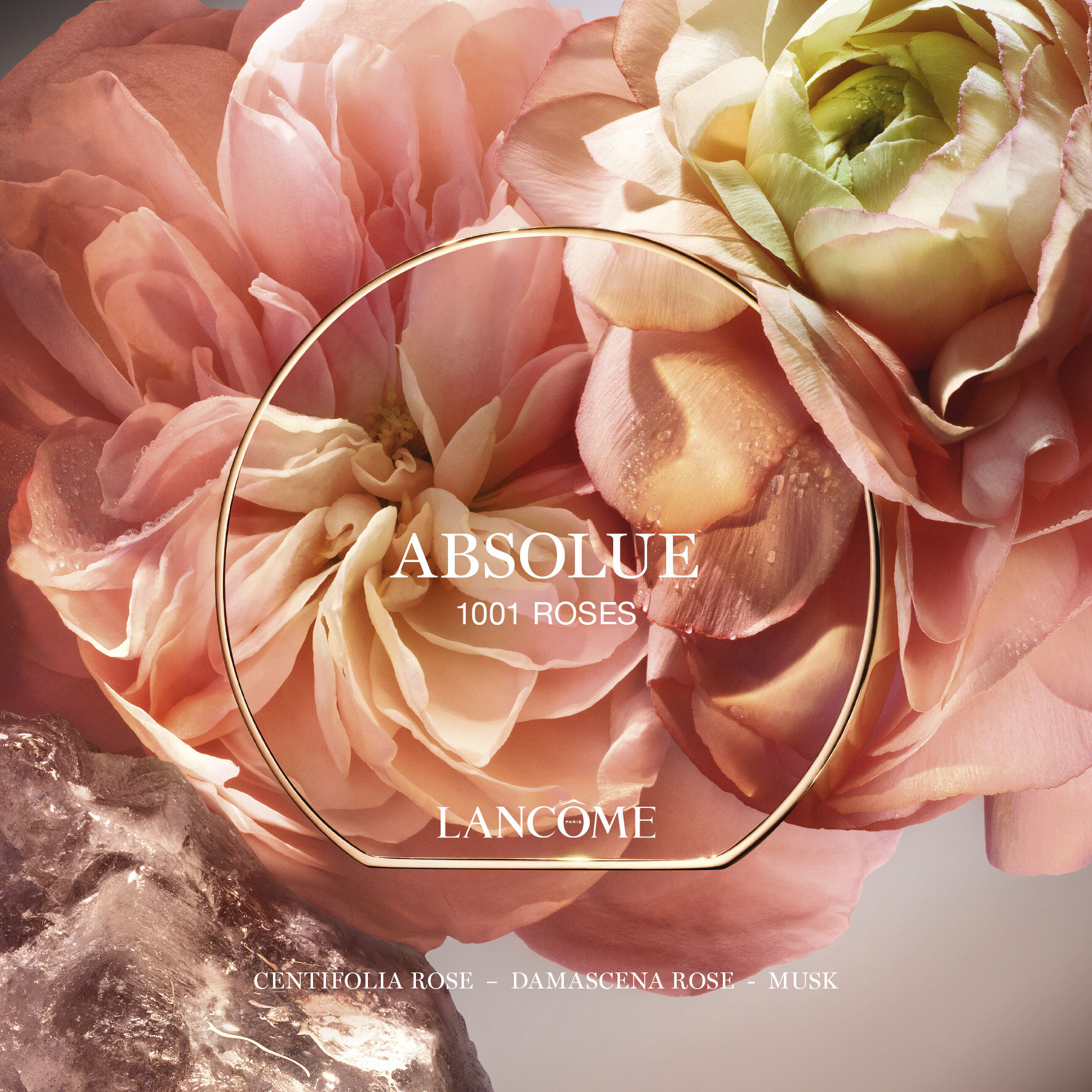 Absolue 1001 Roses Eau de Parfum