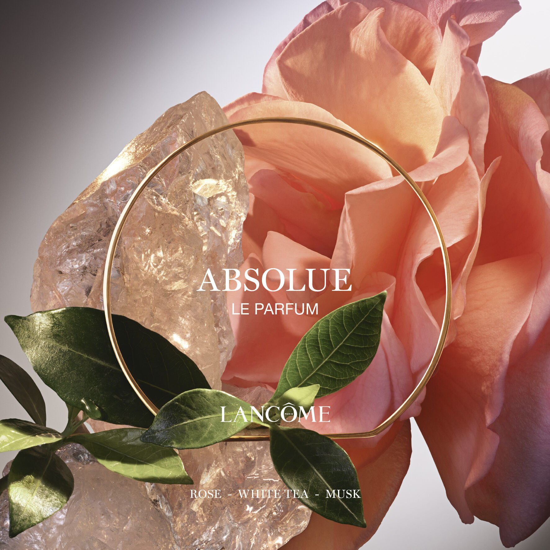 Absolue Le Parfum Eau de Parfum