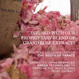 Absolue Regenerating Rich Cream