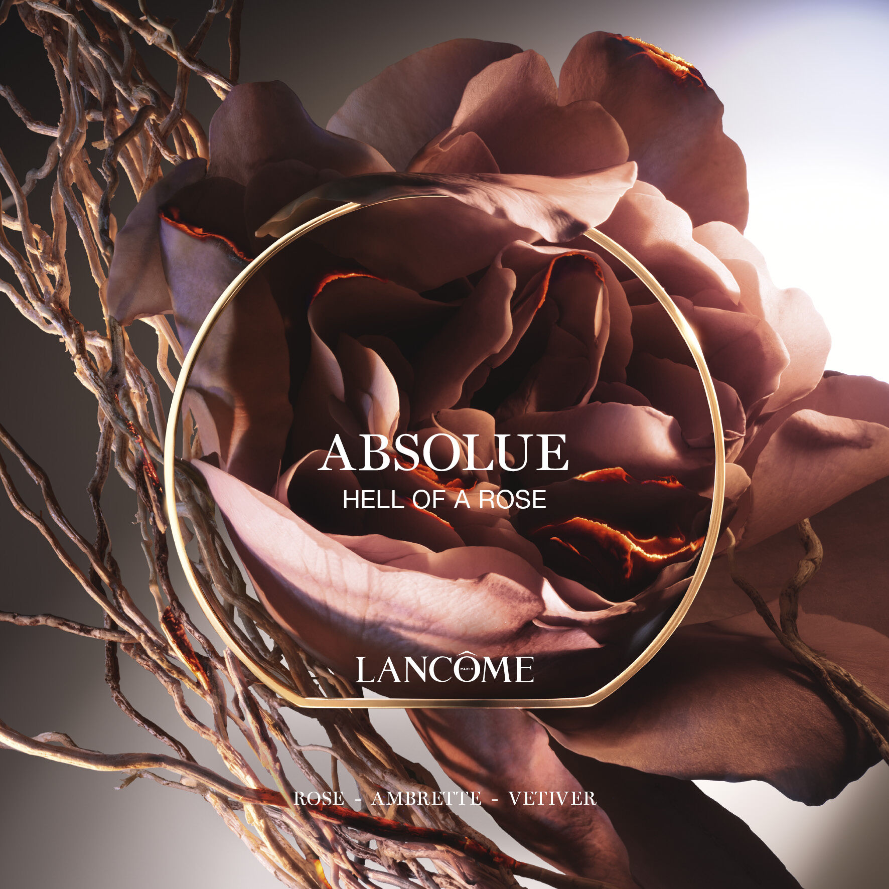 Absolue Hell of A Rose Eau de Parfum