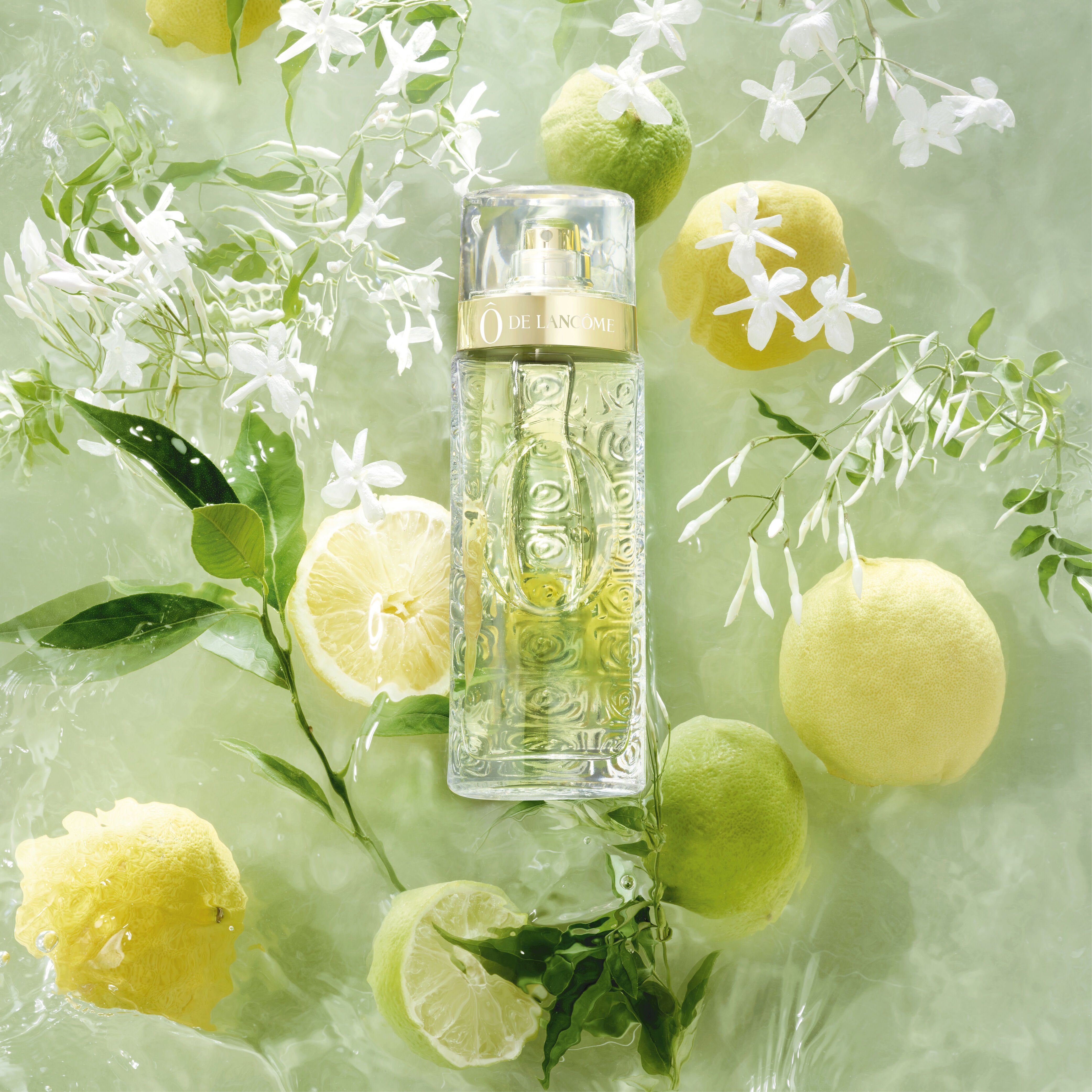 Lancome o perfume sales