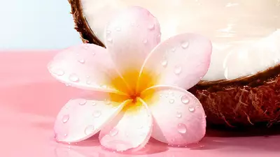 [ingredient visual - cropping on coconut]