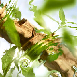 Off Now Eau de Toilette