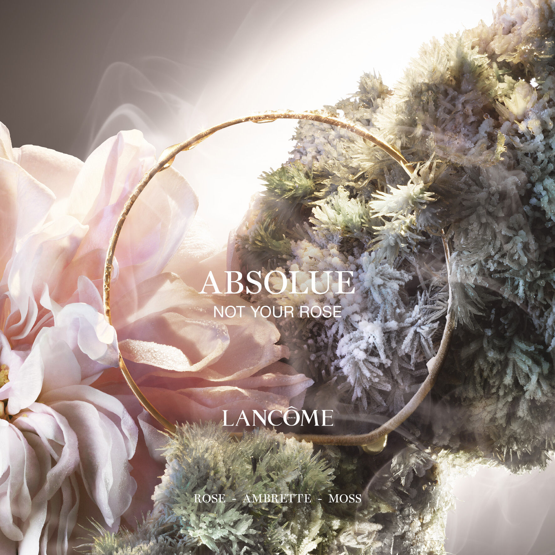 Absolue Not Your Rose Eau de Parfum