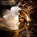 Absolue L'Extrait The Elixir Concentrate