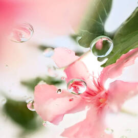 Over The Top Eau de Toilette