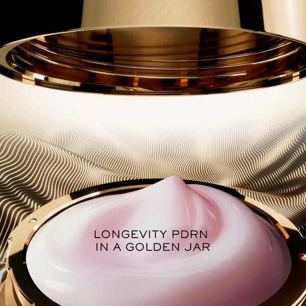 Absolue Longevity Soft Cream and Rich Cream Collection