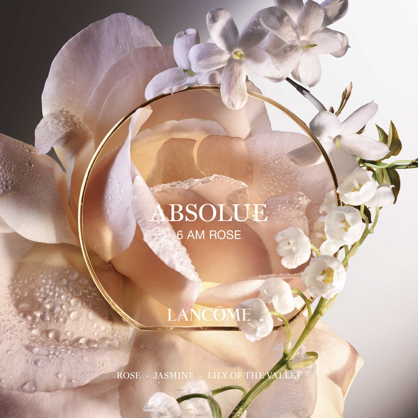 Absolue 6am Rose Eau De Parfum