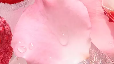 Ingredient visual - cropping on rose petals