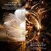 Absolue L’Extrait Concentre d’Elixir