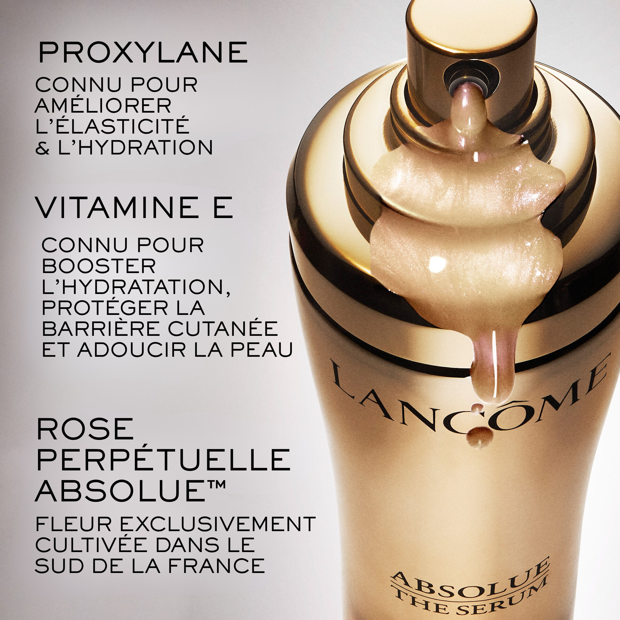 Le Serum Absolue