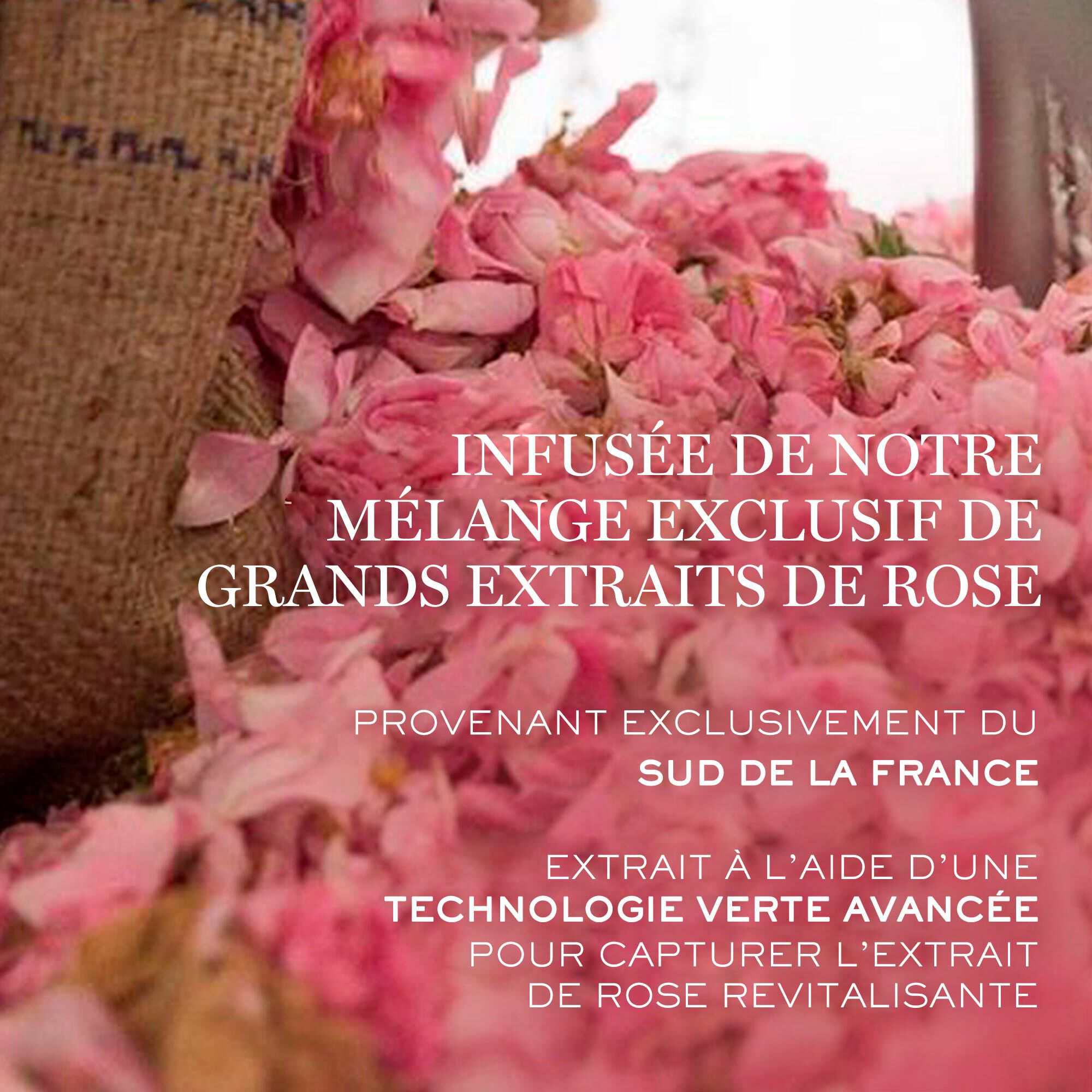 Absolue Creme Riche Regenerante