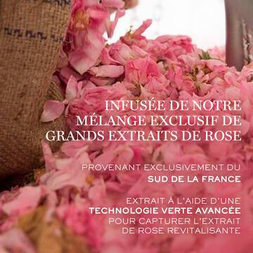 Absolue Creme Riche Regenerante