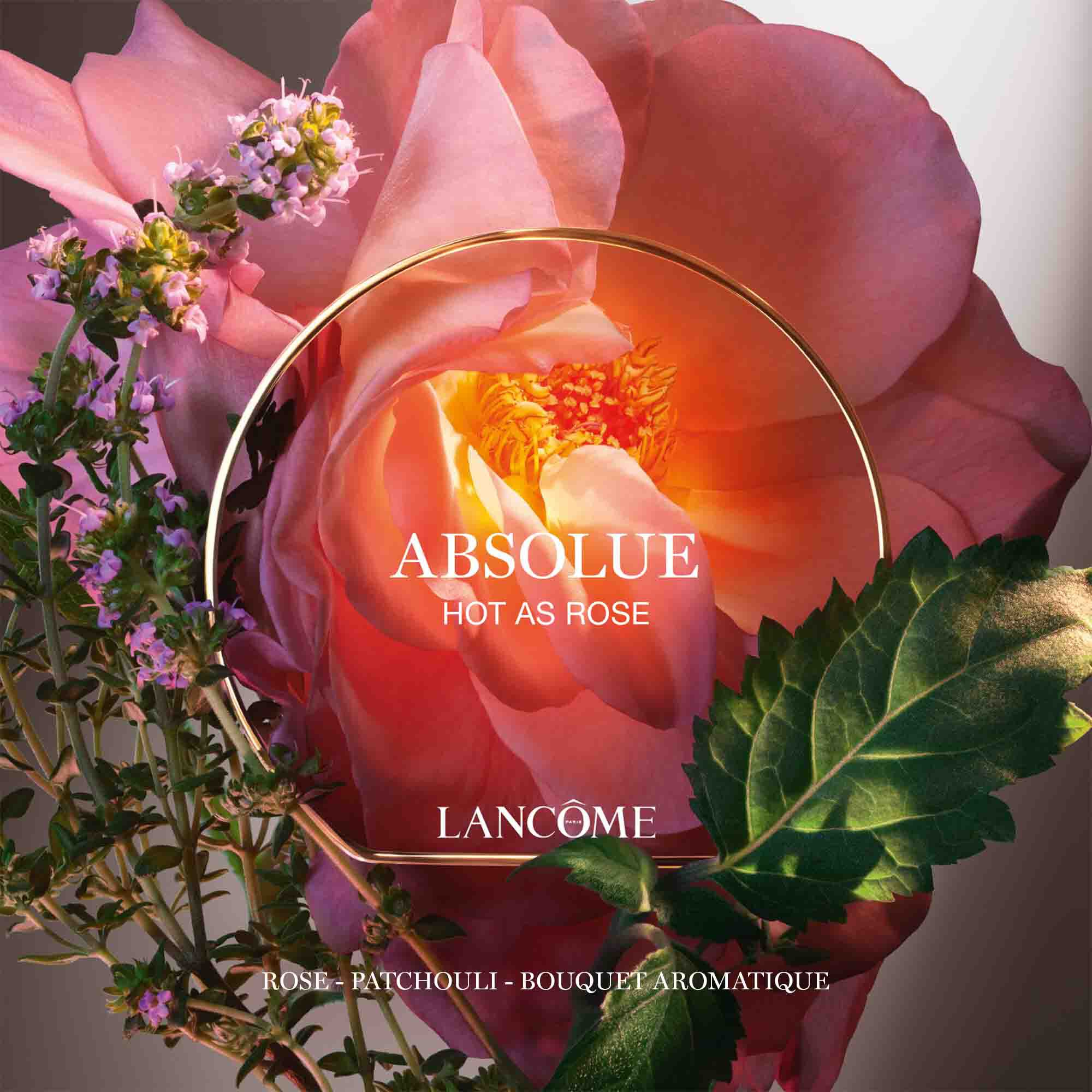 Absolue Hot As A Rose Eau de Parfum