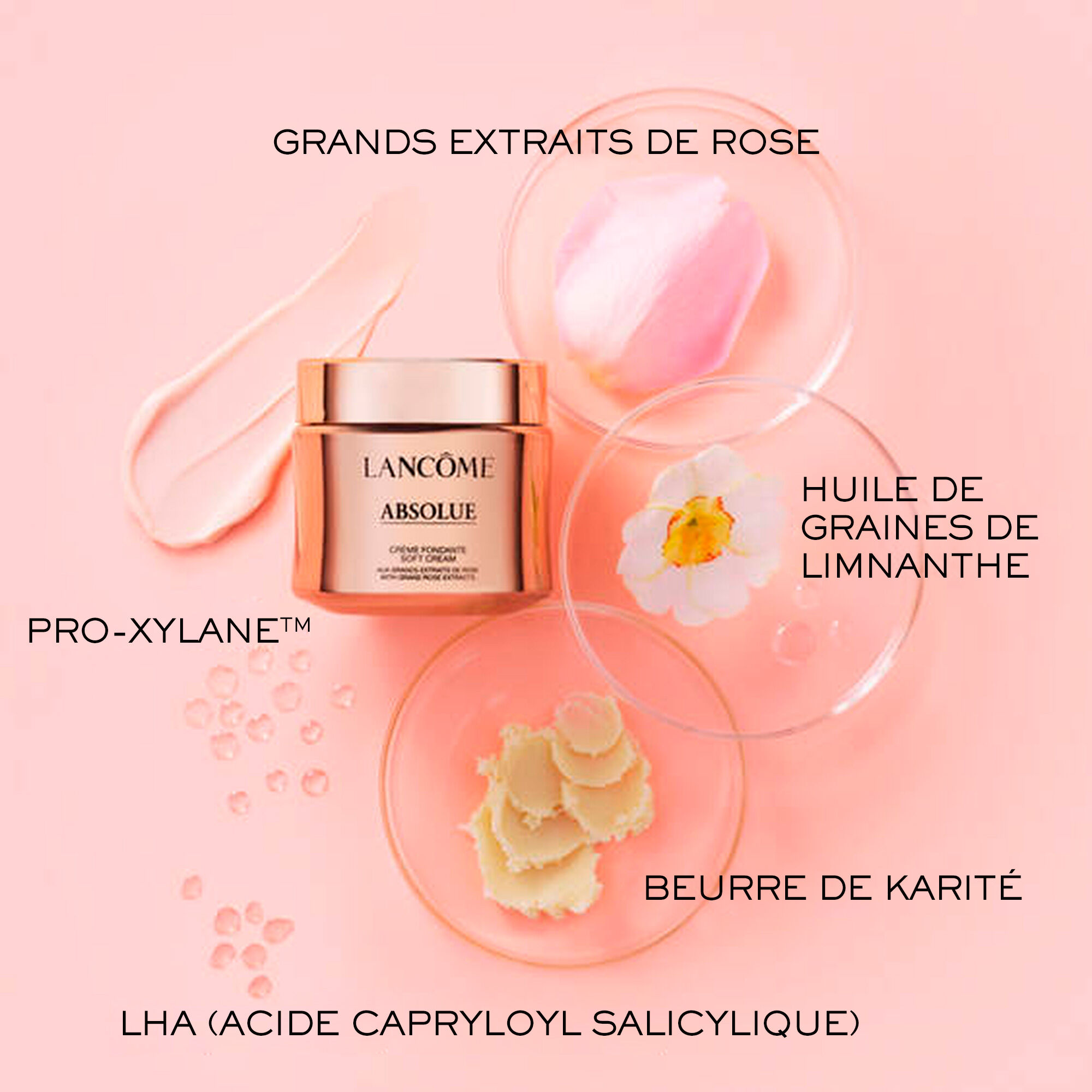 Absolue Creme Fondante Regenerante - L'Originale