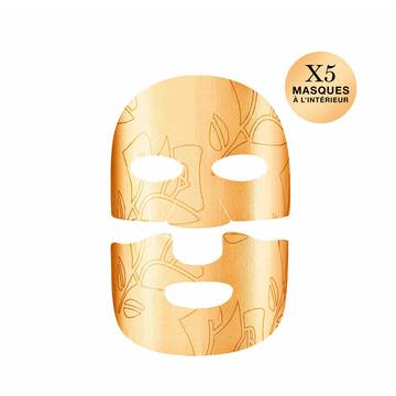 Masque Absolue regenerant illuminateur