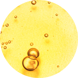 Pure Niacimide